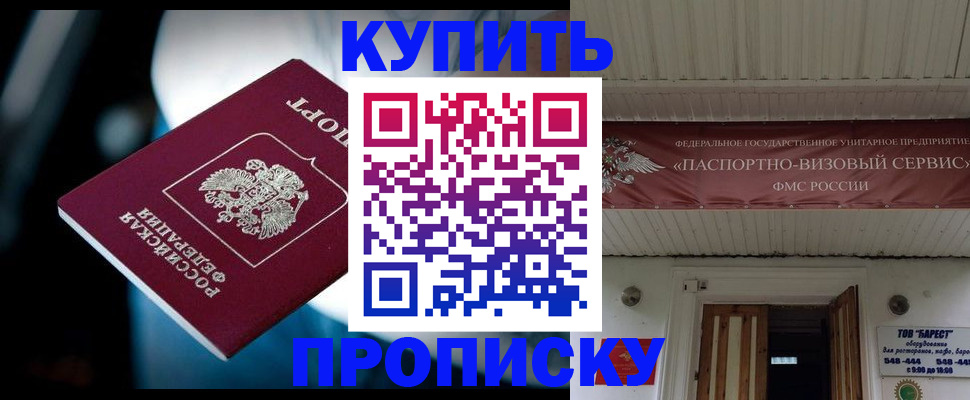 прописка 2025 в Братске